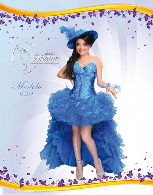 Quinceanera Designer Dresses in Houston TX / Quinceanera in Houston TX / Quinceanera Dresses in